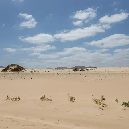 Guestready - Paradise شقة